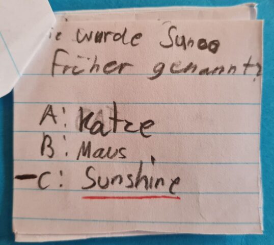 Samar, 5. Klasse, KGS Rastede